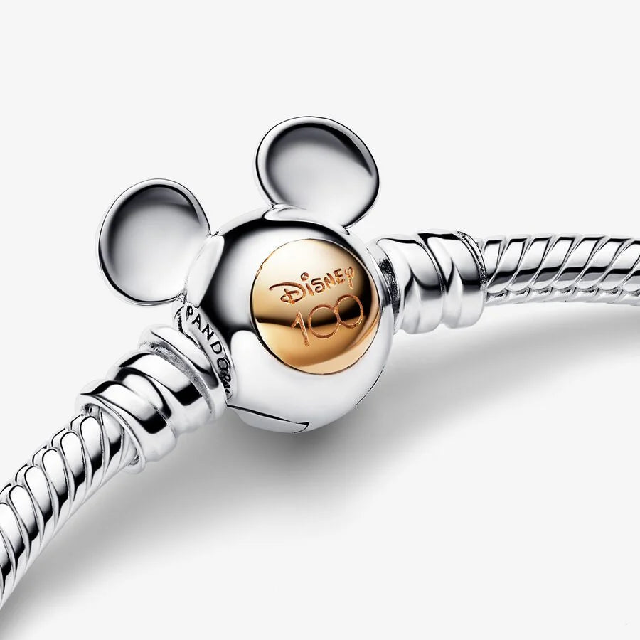 Winnie Bileklik & 4 Charm Set